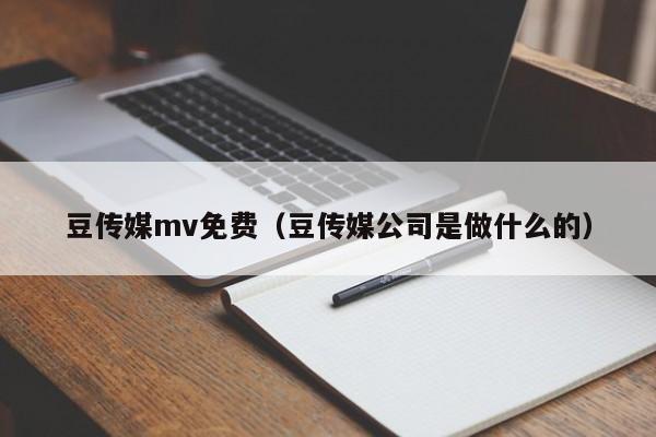豆传媒mv免费(豆传媒公司是做什么的)